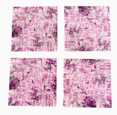 Maven Home Acrylic Coasters - Love Note - Set of 4 - Image 2