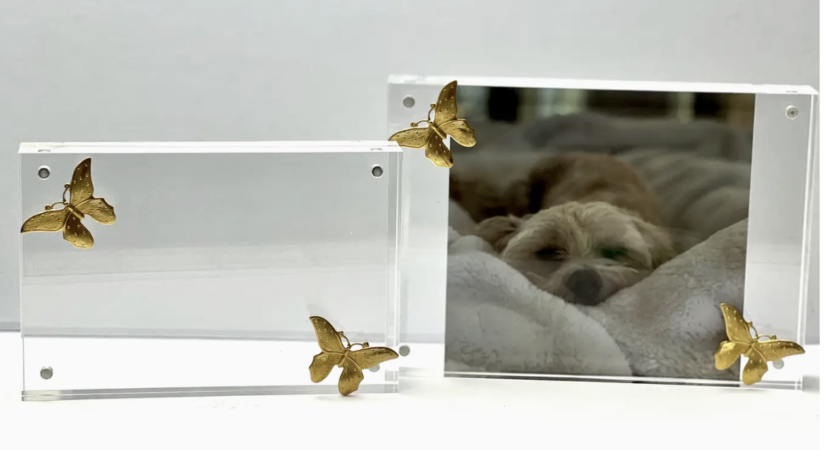 Ten Twenty Six Designs Acrylic Frame 5x7