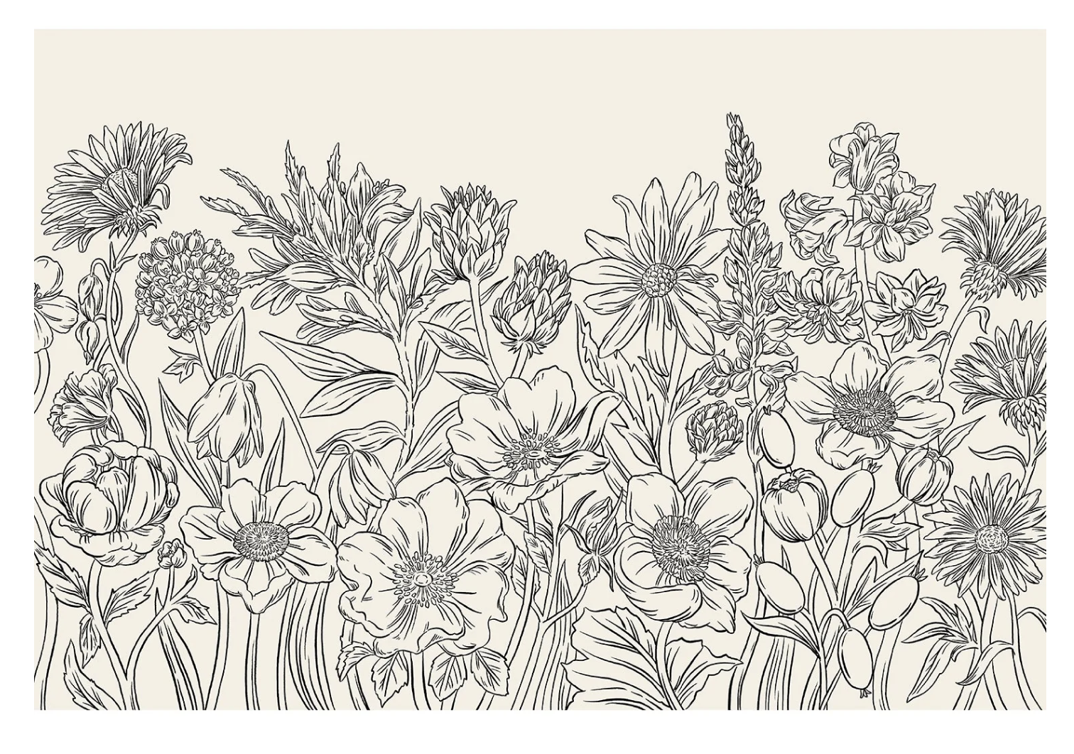 Hester and Cook Coloring Wildflower Meadow Placemat - 18 Sheets