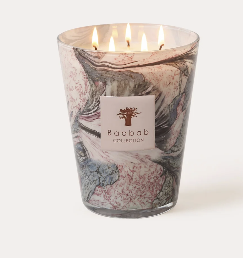 Baobab Max 16 Candle Leaves Manon
