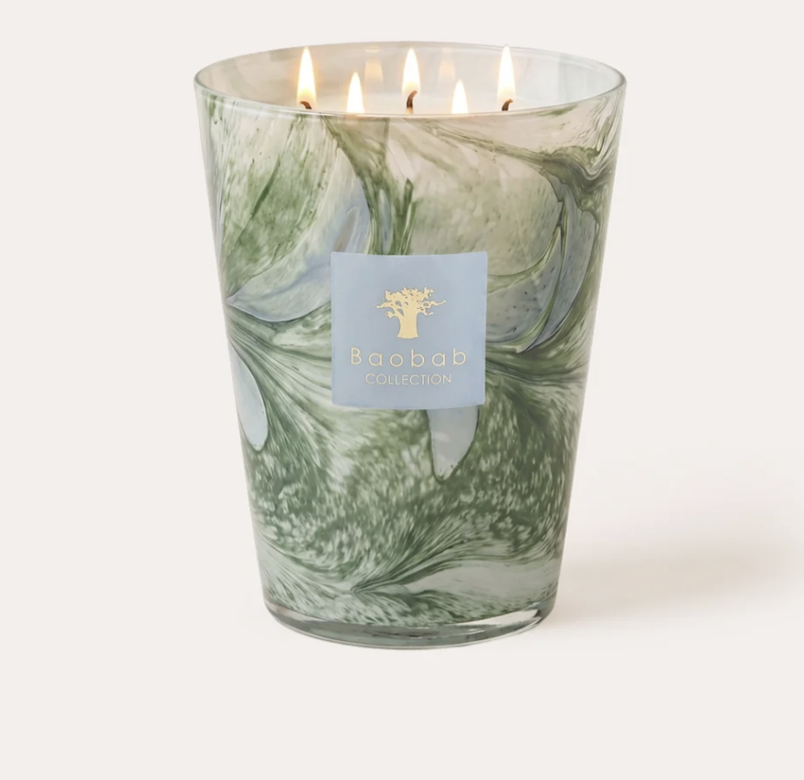 Baobab Max 16 Candle Leaves Marius